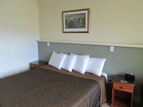 Shortland Court Motel Thames Ngoại thất bức ảnh